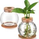 Baderke 2 Packs Propagation Vases for Plants Plastic Plant Propagation Station with Hole Lid and Cork Coasters Plant Growing in Water Hydroponic Home Office Table Decoration(Fish Bowl Style)
