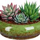 7.3 Inch Succulent Planters Pots Shallow Ceramic Glazed Planter Pots, Lotus Bowl Planter Round Shallow Planter Water Lily Pot for Indoor/Outdoor Plants Decorative (Green