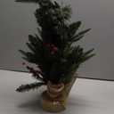 Brizled Smart Mini Christmas Tree, 22.8in DIY Smart-Lit Tabletop Tree with 75 LED RGB Lights, App/Voice Control 159+ Scenes Mini Xmas Tree USB C Music Small Tree Work with PD Power for Fireplace Desk (Green)