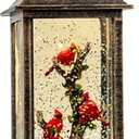 10'' Lighted Cardinal Music Snow Globe Water Lantern with Swirling Glitter Decoration for Christmas Home, Living Room, Battery Operated or USB Powered