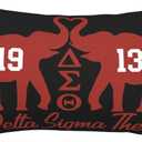 Sorority Gifts Throw Pillow Covers Decorative Pillow Case 20x30 Inch for Couch Bed Car Home Decor