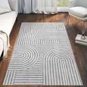 LUXRUG 3x5 Washable Area Rug - Small Entryway Rug Non-Slip Grey A... Throw Rugs for Living Room Bedroom Bathroom Dorm Nursery Room Home Decor