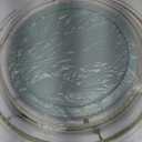 COOK WITH COLOR 12 Pc Glass Mixing Bowl Set with Lids  Borosilicate Glass Nesting Bowls for Cooking, Baking and Meal Prep, Fluted Sage