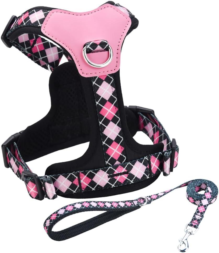 XS Dog Harness and Leash Set, No Pull Dog Harness with 2 Leash Clips, Anti-Escape Easy Walk Puppy Harness, Adjustable Dog Vest Harness for Training Walking for Small Dogs(Black, XS)