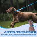 Arblina Martingale Collar for Dogs Large  Heavy Duty Buckle Dog Collar with Tag Ring Reflective Nylon Gradient Dog Collar No Pull Training Collar, L