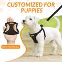 Lukovee No Pull Small Dog Harness and Leash Set - Adjustable Lightweight Soft Puppy Vest, Step-in Pet Harness with 49in Leash for Daily Walking Small Medium Dogs (Black, S)