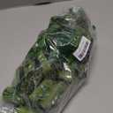 Greener Walker Poop Bags for Dog Waste-540 Bags,Extra Thick Strong 100% Leak Proof Dog Waste Bags (Green)