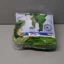 Disguise Women's Rex Inflatable Adult Costume (Green)