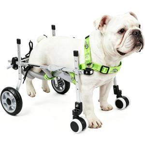 4-Wheel Dog Wheelchair for Back Legs - Switch Between 2 & 4-Wheel Modes, Helps Pets Walk Run and Play Again, Suitable for Small/Medium Pets Under 16.5 lbs (M) HPWC-4WM