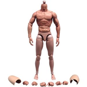 1/6 Scale Male Body,12inch Male Flexible Muscular Action Figure Strong Figure Body Doll Collection(S002)
