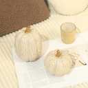Fall Thanksgiving Pumpkin Decor Figurines, 2 PCS Fake Pumpkin Statues for Tabletop Decorating, White and Gold Resin Pumpkins for Autumn Harvest Luxury Fall Home Decor, Farmhouse, Gift Package (Set of 2)