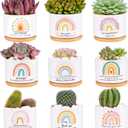 SAIWEILAI Ceramic Succulent Planter Pots Set of 9 with Bamboo Trays, Round Painted Plant Pots for Indoor Desktop Decoration, White