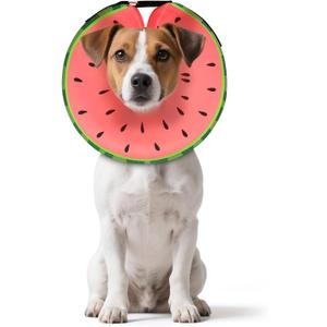 MIDOG Dog Cone Collar for Dogs, Watermelon, Small