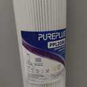 PUREPLUS 20" x 4.5" Whole House Pleated Sediment Filter for Well Water, Replacement Cartridge for ECP5-BB, AP810-2, HDC3001, SPC-45-1005, CP5-BB, ECP1-20BB, 2Pack