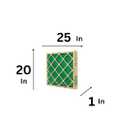 AA Flanders 20x25x1 (4 Pack)