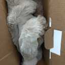 Bedsure GentleSoft Fluffy Fuzzy Tie-dye Taupe Throw Blanket for Bed, Soft Cozy Fleece Faux Fur Blanket for Couch, Taupe Room Decor Minky Velvet Sofa Cover, Women Gifts Thick Warm Plush Winter Bedding