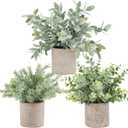 Der Rose 3 Pack Mini Potted Fake Plants Artificial Plastic Eucalyptus Plants Topiaries for Home Office Desk Farmhouse Room Bathroom Decor (Grey)