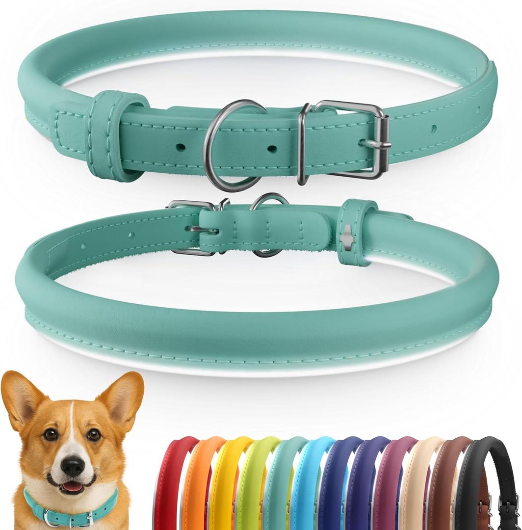 CollarDirect Reflective Rolled Leather Dog Collar, Soft Padded Round Puppy Collar, Handmade Genuine Leather Collar Dog Small Large Cat Collars 13 Colors (13-16 Inch, Mint Green Smooth)