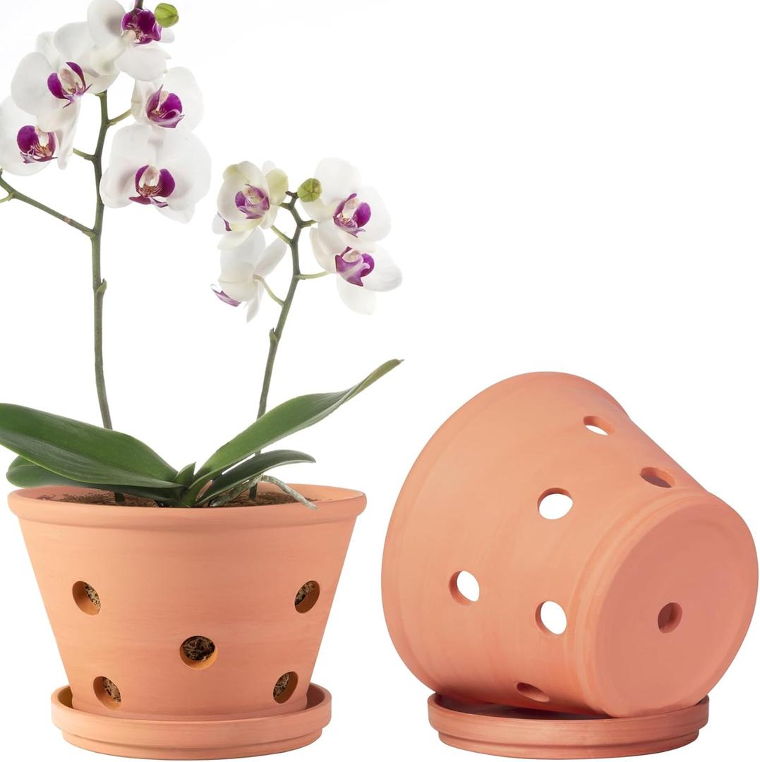 8-inch Terracotta Orchid Pots with Holes and Saucers, 2 Pack Clay Orchid Planter Pots for Repotting, Large Terra Cotta Orchid Pot, Plant Flower Pots for Orchid Indoor Outdoor Promotes Air Circulation