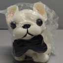 Hand Painted Dog Squishy ToysBig Cute Ultra Soft Squeeze Fidget Toys for Stress Relief ,Kawaii Squishies Sticky Animal Toys for Adults Kids,Decompression Sensory Balls Toys for Autism (Large)