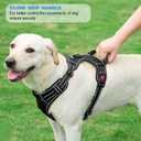 TobeDRI No Pull Dog Harness Adjustable Reflective Oxford Easy Control Medium Large Dog Harness with A Free Heavy Duty 5ft Dog Leash