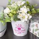 RIZEE Transfer Tape for Vinyl, 6"50 FT Standard Grip w/Alignment Grid Application Transfer Paper for Cricut, Silhouette Cameo, Adhesive Vinyl for Decals, Signs, Windows, Stickers