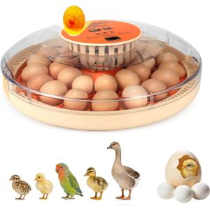 Nest II - 30 Egg Incubator for Large-Batch Hatchers, Hands-On Control, Auto Egg Turning, Manual Water Fill, Consistent Temp, Real-Time Display, Candler for Chicken, Goose, Duck, Quail, Pigeon, Turkey
