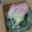Artificial Giant Flowers for Decoration with Stand - 5.58FT 3D Large Fake Flower Big Silk Faux Floral for Party Wedding Garden Spring Outdoor Backdrop Decoration (Green Pink)
