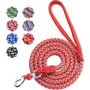 Dog Training Leash for Small to Medium Dogs, Rope Dog Leash, Chew Proof and Reflective Dog Lead (5 FT, Red)