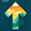 New Believer's Bible NLT (Softcover): First Steps for New Christians