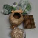 10PCS Crested Gecko Tank Accessories, Reptile Plants Bridge Vines, Coconut Shell with Ladder for Lizard, Chameleon Cage, Snakes, Hermit Crab, Leopard Gecko Tank Accessories, Terrarium Decor