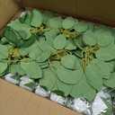 InnoGear 50 Pcs White Roses Artificial Flowers, Fake Velvet Silk Rose Bulk Faux Flower for Decoration DIY Wedding Centerpieces Proposal Bridal Bouquets Shower Party Home Floral Decor (50, White)