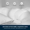 Serta Goose Feather Down Fiber Cotton Comforter King Size - 100% Cotton Duvet Insert - Hotel Luxury Hypoallergenic Bedding Comforter Light Warmth 106 x 90 Inch White