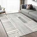 Area Rug 5x7 Feet Abstract Lines, Non-Slip Comfort Floor Mat Washable Rug Modern High Traffic Durable for Living Room, Bedroom, Home Office (Black White)