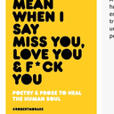 What I Mean When I Say Miss You, Love You and Fuck You