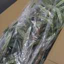 7ft Faux Olive Tree - Fake Potted Olive Silk Tree with Planter Natural Olive Branches and Realistic Leaves Artificial Tree for Home House Office Decor Indoor