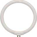 Technical Precision FC12T4/865/LG 12W T4 Circular Fluorescent Light Bulb, 6400K Daylight, G10q Base - 5.45-inch Diameter Bulb