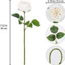 IPOPU White Roses Artificial Flowers,5PCS Real Touch Austin Roses Faux Peony Flowers Stems for Wedding Bouquet Party Home Decor(White)