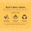 Burt's Bees for Pets Kitten Wipes with Buttermilk - Pet Wipes for Cats Waterless Bathing & Cleaning, Kitten Essentials for Indoor Kittens, Gentle Cat Grooming Wipe for Face, Paws & Butt, 50 Count