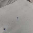 LINENSPA Memory Foam Mattress Topper - 2 Inch Gel Infused Memory Foam - Plush Feel - Cooling and Pressure Relieving - CertiPUR Certified - Dorm Room Essentials - Queen Size