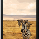 JD Art Gallery Poster Frame 18,5 x22,5 Black, Handcrafted with Sustainable Wood and Polished Plexiglass, Flexible Hanging in Horizontal or Vertical Format and Hanging Hardware Included