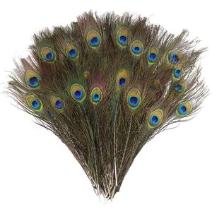 DECORA 100 Pieces Real Natural Peacock Feathers for Craft Halloween Costume Bridesmaid Corsage Christmas Wreath and Home Decor 10 Inch-12 inch