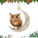 2 x Christmas Tree Decorations, Acrylic Christmas Tree Ornaments, Double-Printed Animal Hanging for Christmas Tree, Home Decor, Children's Gifts (Owl) (Moon-owl 2)