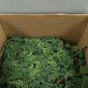 2 Pcs 9FT Christmas Cedar Garland Artificial Realistic Faux Green Cedar Pine Garland Real Touch Christmas Garland for Xmas Home Decoration Indoor Stairs Railing Fireplace Outdoor