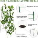 48" Hx 18" L Cucumber Trellis for Garden A Frame Plant Support for Raised Bed, Outdoor Indoor Plant Garden Trellis for Climbing Plants (2 Packs)
