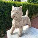 Cynkeyee Dog Garden Statue Outdoor - Decorative Cairn Puppy Sculpture Resin West Highland White Terrier Statues Standing Pose Life Size Home Yard Decor 15x6x14 inches