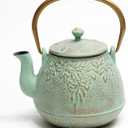 Tea Kettle, TOPTIER Japanese Cast Iron Teapot with Infuser for Loose Leaf and Tea Bags, Stovetop Safe Cast Iron Tea Kettle Coated with Enameled Interior for 40 oz (1200 ml), Light Green