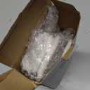 DEWENWILS 8-Outlet Power Strip with Timer (4 Timed/ 4 Always On), Digital Timer Outlet for Reptile Light, Turtle Grow Light Indoor Bearded Dragon Tank Accessory Aquarium, 6ft SJT Cord, 15A UL Listed