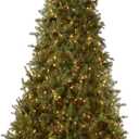National Tree Company 6.5 ft Pre-Lit Dunhill Fir Artificial Christmas Tree, 650 Warm White LED Lights, 1,838 Tips, Includes Stand, Green