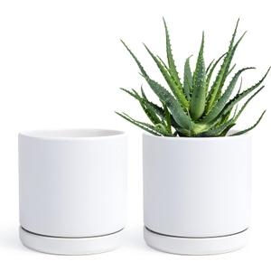 D'vine Dev Set of 2 Plants Pots, 6 Inch Ceramic Planter Pot for Plants with Drainage Hole and Saucer, White, 94-V-C-1